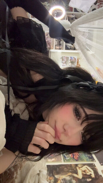 ashisbees page