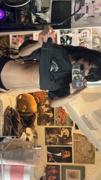 ashisbees page