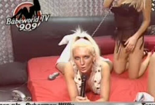 babestation studio66