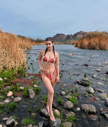 lavynder rain
