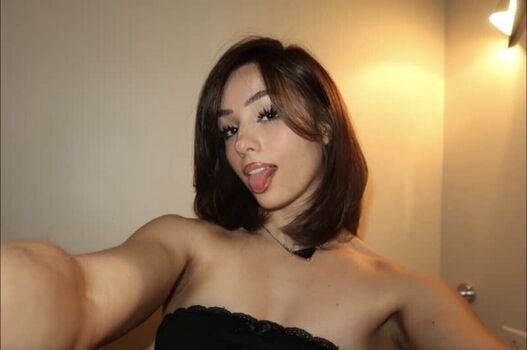Mimisemaan