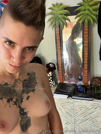 mohawk_noproblems