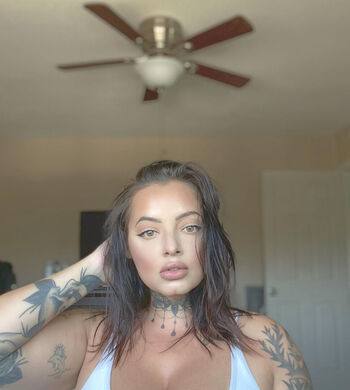 stevienicolephoto
