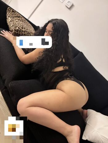 v 333x