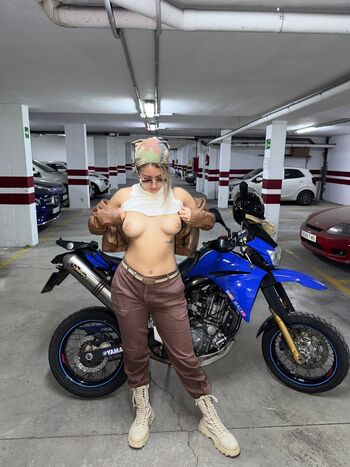 Venusadventures