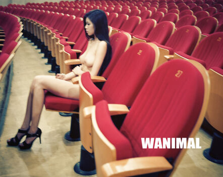 Wanimal Models