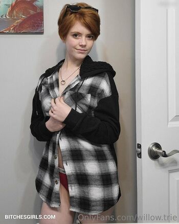 Willow.trie